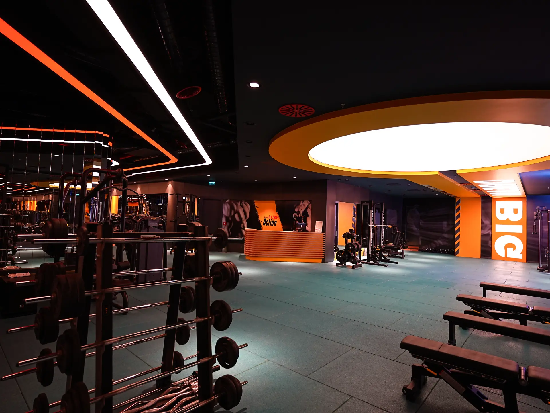 Free Weights